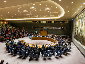 UN Security Council   (Shutterstock)	