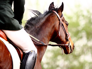 (Shutterstock/ File Photo)