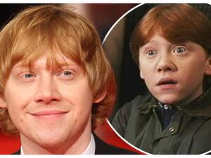 روبيرت غرينت