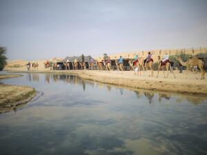 Dubai Tourism Provides Leading Tour Operators Key Insights Into New Executive Council Resolution on Tourist Camps