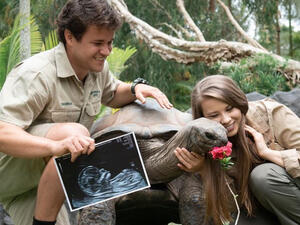 Irwin and Powell announced in August that they are expecting their first child in 2021.