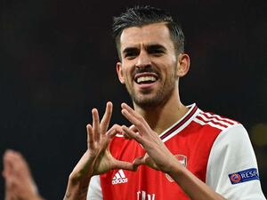 داني سيبايوس