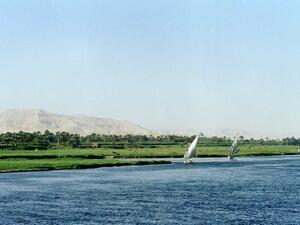 تعد الزراعة من أقدم المهن في مصر الفرعونية