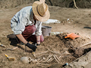 Archaeological excavations, human skeleton remains, found in an ancient tomb. (Shutterstock/ File Photo)