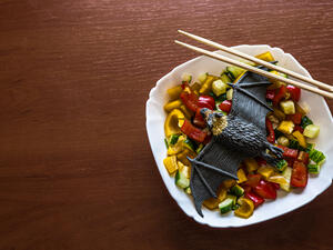 Dish Bat with Copy Space.  (Shutterstock/ File Photo)