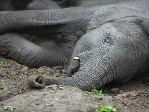 (Shutterstock/ File Photo)