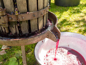 (Shutterstock/ File Photo)