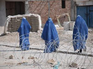 (Shutterstock/ File Photo)