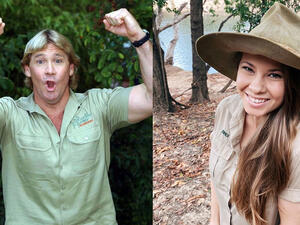 Irwin was killed by a stingray