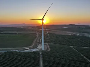 A picture taken on October 5, 2020, shows a wind turbine constructed between vineyards and fruit orchards as part of a wind farm, near El Rom settlement in the Israeli-annexed Golan Heights by the border with Syria. MENAHEM KAHANA / AFP