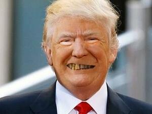 Donald Trump (Twitter)