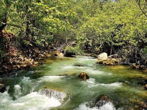 Bisri Valley (Twitter)