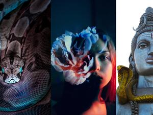 ما تفسير رؤية الثعابين في الحلم في الثقافات المختلفة؟