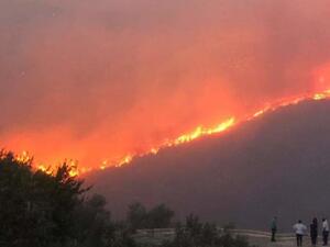 أسفرت الحرائق التي أتت على مئات الهكتارات عن سقوط قتلى