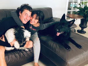 Next up for Shawn is The Wonder Residency