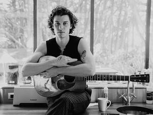 Netflix has released several other music-centered documentaries