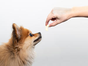 (Shutterstock/ File Photo)