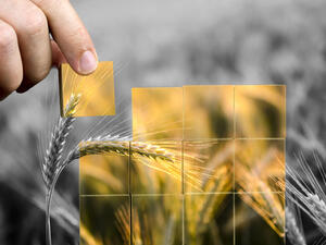 Food Security in the Arab World: Achievements, Challenges and Fears