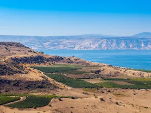 Golan Heights  (Shutterstock)	