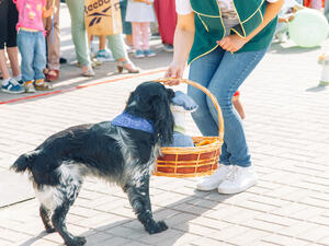 (Shutterstock/ File Photo)