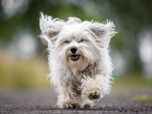 (Shutterstock/ File Photo)