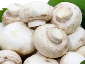 يحافظ على صحة الأسنان واللثة