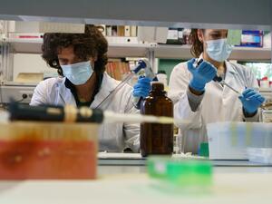 Researchers at the Institute of Molecular Biology and Genetics (IBGM) of the University of Valladolid (UVa) work on searching a vaccine against COVID-19, at a laboratory in Valladolid on November 10, 2020. Cesar Manso / AFP