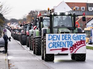 A farmer on a tractor with a placard reading 'The one who gives the order - Garbage' protests on November 14, 2020 in Aalborg, northwestern Denmark, during a rally against the Danish governments' unconstitutional order to cull all Mink in the country due to a mutated Covid-19 virus and against the following restrictions in seven municipalities in North Jutland. Denmark announced special restrictions for more than 280,000 people in the country's northwest after a mutated version of the new coronavirus linked