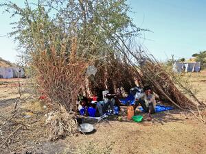 Ethiopian refugees who fled fighting in Tigray province lay in the shade in a straw shack at the Um Rakuba camp in Sudan's eastern Gedaref province, on November 18, 2020. Sudan -- one of the world's poorest countries, now faced with the massive influx -- has reopened the camp, 80 kilometres (50 miles) from the border. It once housed refugees who fled Ethiopia's 1983-85 famine that killed over a million people. Ebrahim HAMID / AFP