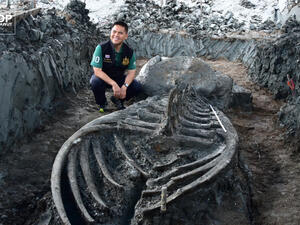 The remains of a whale thought to be 3,000 to 5,000 years old have been found in Thailand. (TOP Varawut/Facebook)