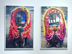 Shara Hafez space. (Instagram)