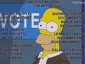 Homer Simpsons in a polling box to cast his vote in the election and is faced with a list of 'scandals' suggesting why Trump shouldn't be given a second term in the White House. (Fox/ The Simpsons)