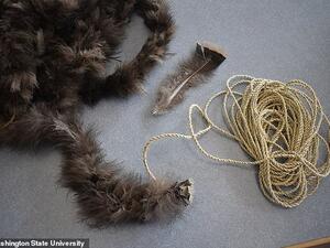 (Washington State University)