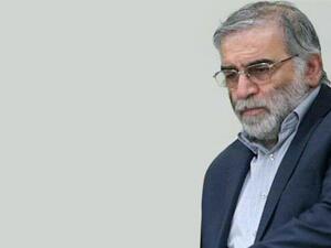 Iranian nuclear scientist is 'assassinated near Tehran',Iranian reports claim. (Twitter)