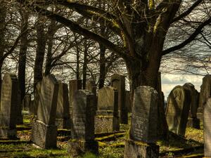 ما تفسير الحلم بوفاة شخص عزيز في المنام؟