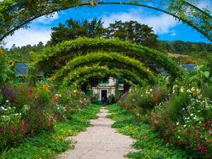 ما تفسير الحلم بحديقة مليئة بالورد في المنام؟