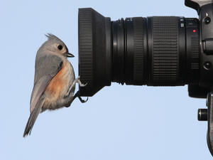 (Shutterstock/ File Photo)