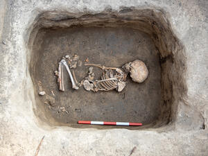 (Shutterstock/ File Photo)