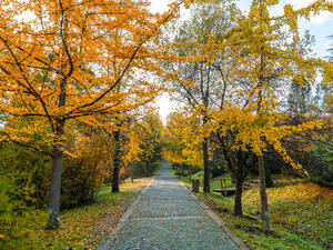 (Shutterstock/ File Photo)