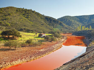 (Shutterstock/ File Photo)