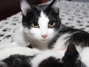 (Shutterstock/ File Photo)