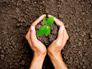 (Shutterstock/ File Photo)