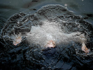 (Shutterstock/ File Photo)