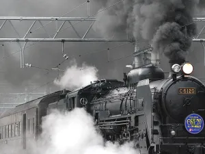 ما تفسير محاولة اللحاق بالقطار في المنام؟