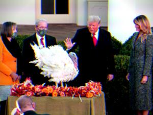 Voted for or Against Him, All Americans Are Thankful for Trump This Thanksgiving