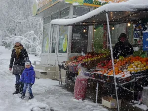 طبيب البوابة:6 فواكه شتوية لتعزيز صحة الجهاز التنفسي في الشتاء