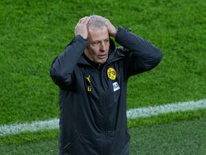 لوسيان فافر لوسيان فافر