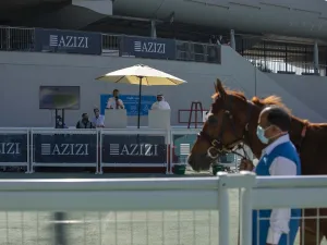 Azizi Developments Sponsors Emirates Racing Authority’s Thoroughbred Sale in Meydan