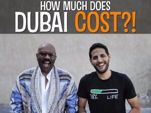 ستيف هارفي وناس ديلي