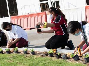 Educating the Next Generation of Changemakers on Sustainability